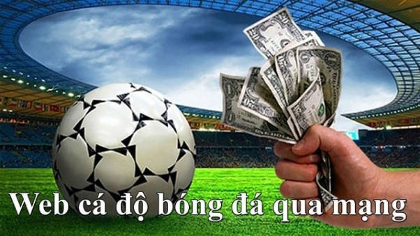 Các trang web cá độ bóng đá uy tín nhất Việt Nam 2022
