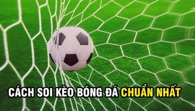TOP cách soi kèo nhà cái cơ bản, chi tiết dành cho tân thủ TOP cách soi kèo nhà cái cơ bản, chi tiết dành cho tân thủ